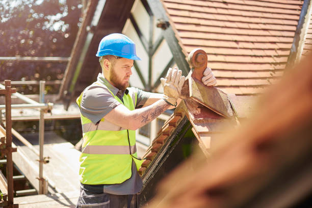 Best Flat Roof Repair Services  in Seeley Lake, MT